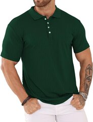 Polo marškinėliai vyrams Plilima, žali kaina ir informacija | Vyriški marškinėliai | pigu.lt