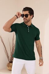 Polo marškinėliai vyrams Plilima, žali kaina ir informacija | Vyriški marškinėliai | pigu.lt