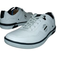 Мужская спортивная обувь Pegada 424040104_47, белая цена и информация | Кроссовки для мужчин | pigu.lt