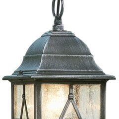 Searchlight уличный подвесной светильник Genoa 1641 цена и информация | Уличные светильники | pigu.lt