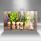 Stiklinė pjaustymo lenta Žolelių prieskoniai ir mediena, 52x30 cm kaina ir informacija | Pjaustymo lentelės | pigu.lt