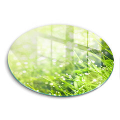 Stiklinė pjaustymo lenta Gamta – žolė ir rasa, 30 cm kaina ir informacija | Pjaustymo lentelės | pigu.lt