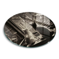Stiklinė pjaustymo lenta Katės miestas ir langas, 30 cm kaina ir informacija | Pjaustymo lentelės | pigu.lt