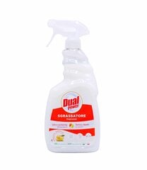 Dual riebalų šalinimo priemonė Power, 750 ml цена и информация | Очистители | pigu.lt