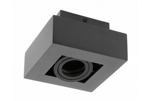 Светильник потолочный Aster, GU10, IP20, одинарный, чёрный цена и информация | Потолочные светильники | pigu.lt