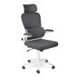 Ofiso kedė Sofotel Formax, pilka kaina ir informacija | Biuro kėdės | pigu.lt