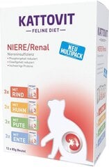 Kattovit Feline Diet Niere/Renal набор для взрослых кошек, 12x85 г цена и информация | Консервы для кошек | pigu.lt