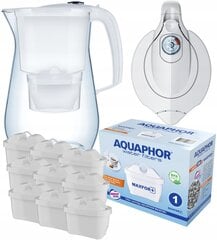 Aquaphor Onyx B25 Maxfor+, 9 шт. цена и информация | Фильтры для воды | pigu.lt