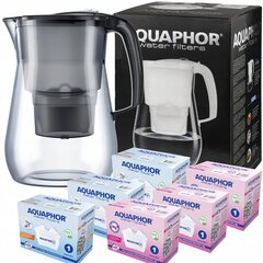Aquaphor Onyx B25 Maxfor, 6 шт. цена и информация | Фильтры для воды | pigu.lt