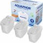 Aquaphor Onyx, 6 vnt kaina ir informacija | Vandens filtrai | pigu.lt