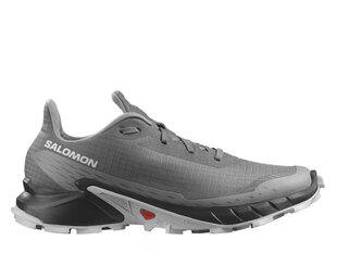 Sportiniai batai vyrams Salomon, pilki kaina ir informacija | Kedai vyrams | pigu.lt