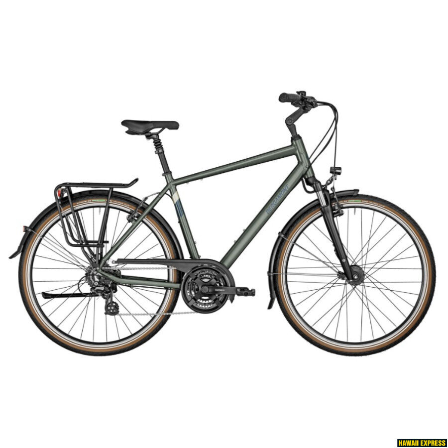 Miesto dviratis Bergamont HORIZON 3 GENT 28", pilkas цена и информация | Dviračiai | pigu.lt