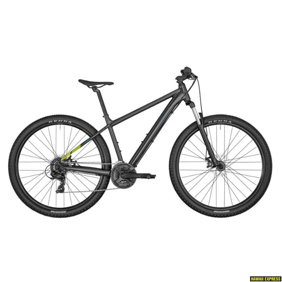Kalnų dviratis Bergamont REVOX 2 29", juodas цена и информация | Dviračiai | pigu.lt