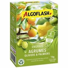 Trąšos dekoratyviniams augalams Algoflash Naturasol, 1 kg kaina ir informacija | Birios trąšos | pigu.lt