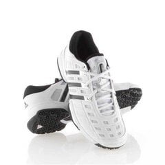 Sportiniai batai vyrams Adidas, balti kaina ir informacija | Kedai vyrams | pigu.lt