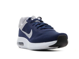 Спортивная обувь мужская Nike, синяя цена и информация | Кроссовки для мужчин | pigu.lt