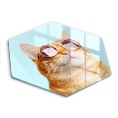 Stiklinė pjaustymo lenta Raudona katė su akiniais, 40 cm kaina ir informacija | Pjaustymo lentelės | pigu.lt