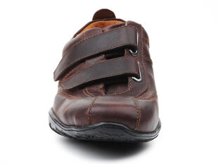 Timberland laisvalaikio batai vyrams 70551, rudi цена и информация | Кроссовки для мужчин | pigu.lt