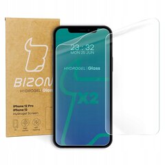 Bizon Hydrogel Glass kaina ir informacija | Apsauginės plėvelės telefonams | pigu.lt