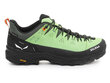 Žygio batai vyrams Salewa Alp Trainer 2 Gore-Tex® 61400-5660 27041-666, žali цена и информация | Vyriški batai | pigu.lt