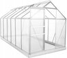 Polikarbonato šiltnamis Funfit Garden Greenhouse, 380x190x195 cm kaina ir informacija | Šiltnamiai | pigu.lt