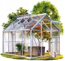 Polikarbonato šiltnamis Funfit Garden Greenhouse, 250x190x195 cm kaina ir informacija | Šiltnamiai | pigu.lt