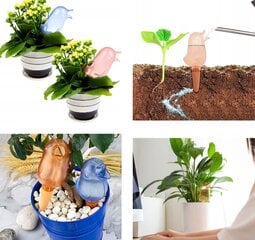 Drėkintuvas augalų vazonams, 3vnt. kaina ir informacija | Augalų priežiūros priemonės | pigu.lt