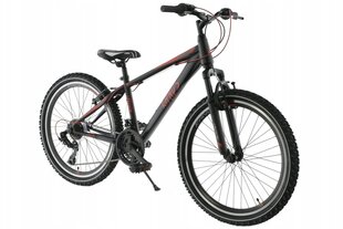 Vaikiškas dviratis Kands Lorenzo 24", juodas/raudonas цена и информация | Велосипеды | pigu.lt