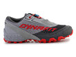 Sportiniai batai vyrams Dynafit Feline 64053, pilki kaina ir informacija | Kedai vyrams | pigu.lt