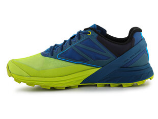 Sportiniai batai vyrams Dynafit Alpine 30862, mėlyni цена и информация | Кроссовки для мужчин | pigu.lt
