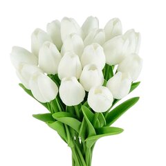 Dirbtinės Tulpės kaina ir informacija | Dirbtinės gėlės | pigu.lt