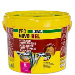 Universalus pašaras žuvims JBL ProNovo Bel Flakes M 5,5 l цена и информация | Корм для рыб | pigu.lt