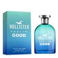 Tuoletinis vanduo Hollister Feelin' Good EDT vyrams, 100 ml kaina ir informacija | Kvepalai moterims | pigu.lt