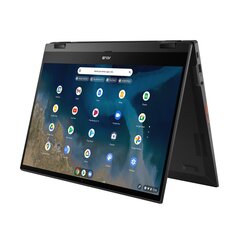 Asus Chromebook Flip CM5 цена и информация | Ноутбуки | pigu.lt