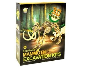 Archeologinis rinkinys Mamuto Skeletas kaina ir informacija | Lavinamieji žaislai | pigu.lt