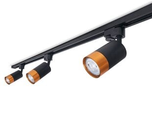 Светодиодный светильник на рейку Steka Klemens GU10 x3 + шина 1,5м - Черный цена и информация | Потолочные светильники | pigu.lt