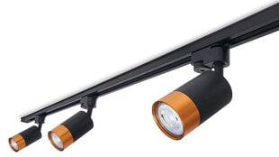Светодиодный светильник на рейку Steka Klemens GU10 x3 + шина 1,5м - Черный цена и информация | Потолочные светильники | pigu.lt