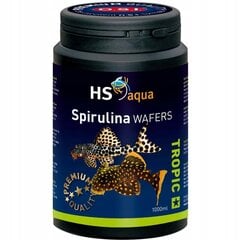 Spirulina žuvims HS OSI Spirulina Wafers, 1 l kaina ir informacija | Maistas žuvims | pigu.lt