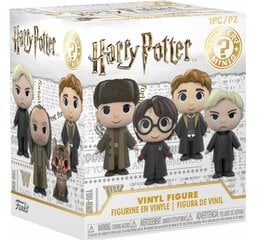 Funko Mystery Minis: Harry Potter 3 цена и информация | Атрибутика для игроков | pigu.lt