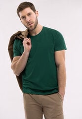 Marškinėliai vyrams T-BASIC, žali kaina ir informacija | Vyriški marškinėliai | pigu.lt