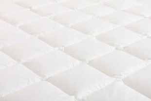 Одеяло The Dream Company, 155x200 см цена и информация | Одеяла | pigu.lt