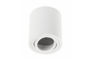 Потолочный светильник Aveiro Bis цена и информация | Потолочные светильники | pigu.lt