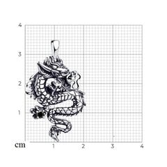 Серебряный кулон 925° цена и информация | Украшения на шею | pigu.lt