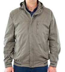 Куртка мужская Sarow 340, серая цена и информация | Мужские куртки | pigu.lt