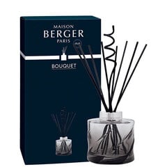 Диффузор для дома с палочками Maison Berger Paris Spiral Bouquet Reed Diffuser Black (без запаха), 222 мл цена и информация | Ароматы для дома | pigu.lt