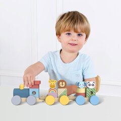 Žaislas traukinukas su gyvūnais Tooky Toy, 16 d. kaina ir informacija | Žaislai kūdikiams | pigu.lt