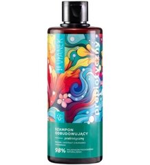 Prebiotinis atkuriamasis šampūnas Vianek, 300 ml kaina ir informacija | Šampūnai | pigu.lt