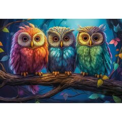 Dėlionė Castorland Three Little Owls, 1000 d. kaina ir informacija | Dėlionės (puzzle) | pigu.lt