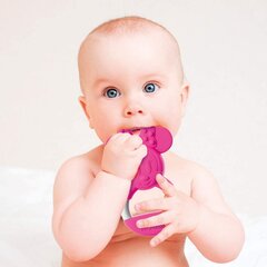 Kramtukas Clementoni Baby Mickey Teether 17342 kaina ir informacija | Kramtukai | pigu.lt