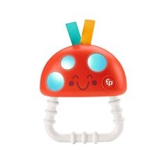 Kramtukas grybas Fisher Price HBP46 цена и информация | Прорезыватели | pigu.lt